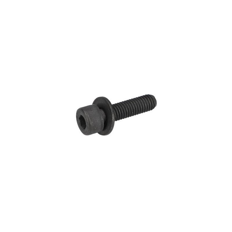 Vis pour Scie à onglets BOSCH OUTILLAGES - 1619P03622
