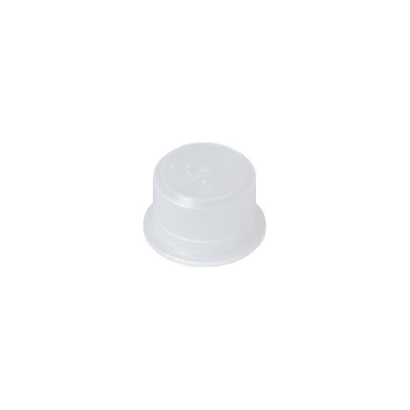 Bouchon pour Nettoyeur pression BOSCH OUTILLAGES - 1619PB2107