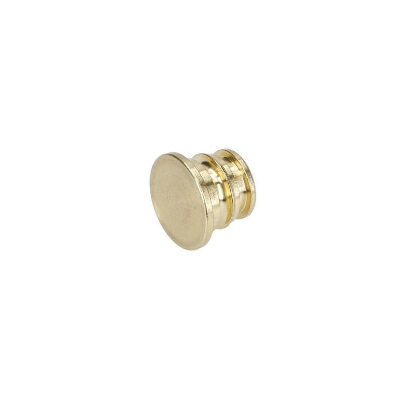 Bouchon pour Nettoyeur pression BOSCH OUTILLAGES - F016L72024