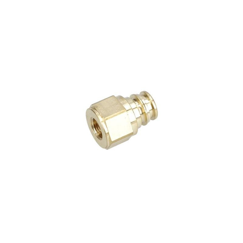 Bouchon pour Nettoyeur pression BOSCH OUTILLAGES - F016L72044