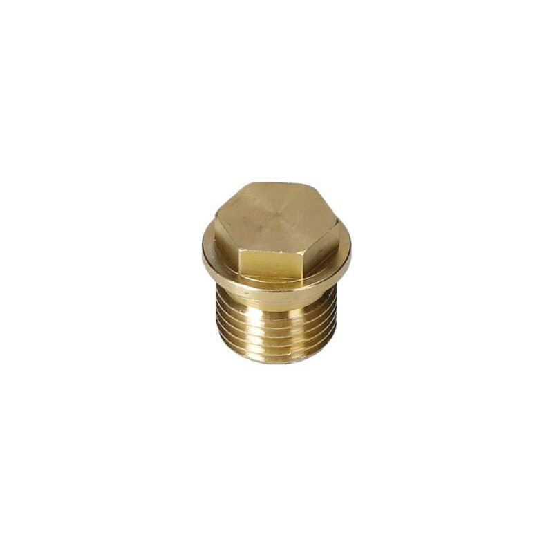 Bouchon pour Nettoyeur pression BOSCH OUTILLAGES - F016L72138