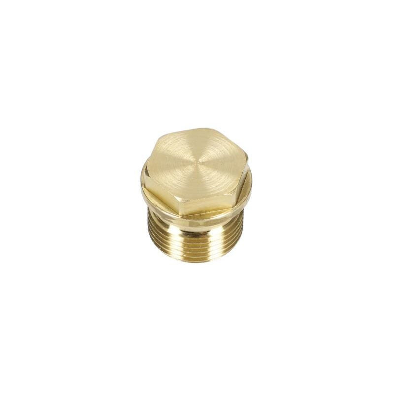 Bouchon pour Nettoyeur pression BOSCH OUTILLAGES - F016L72249