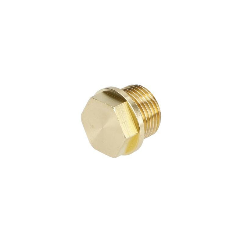 Bouchon pour Nettoyeur pression BOSCH OUTILLAGES - F016L72252