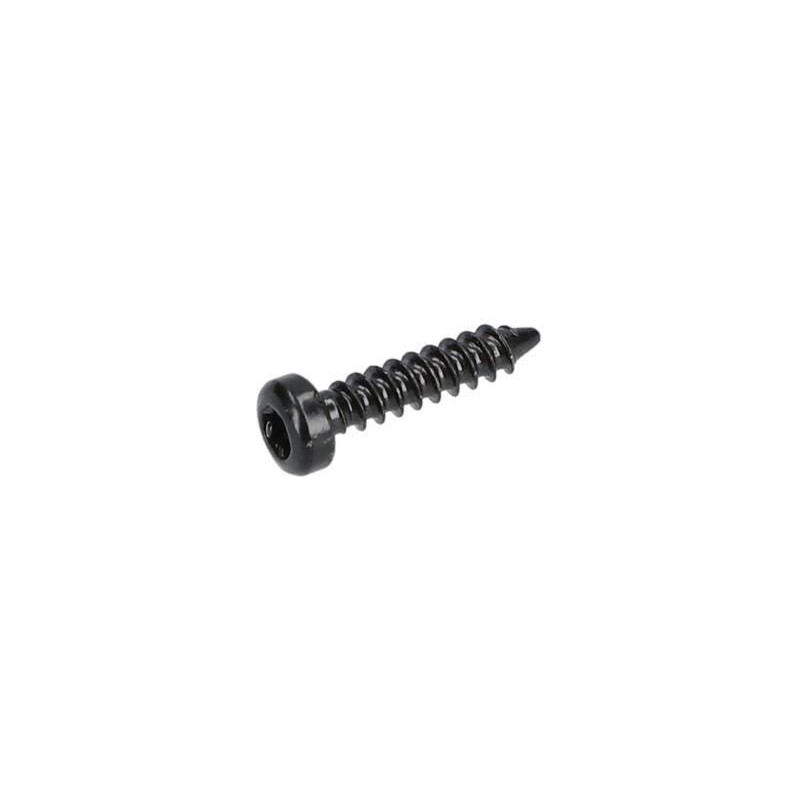 Vis à tête bombée torx pour Aspirateur BOSCH OUTILLAGES - 1613490028