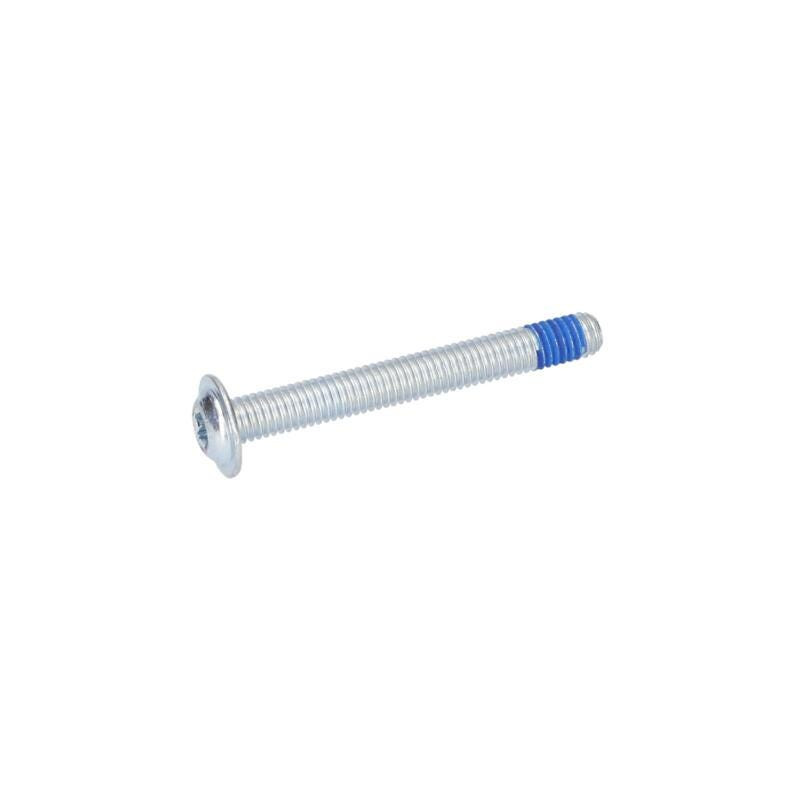 Vis à tête bombée torx pour Tondeuse à gazon BOSCH OUTILLAGES - 1613490011
