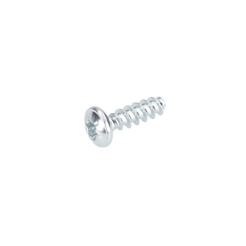 Vis à tête bombée torx pour Marteau à percussion BOSCH OUTILLAGES - 1613490008
