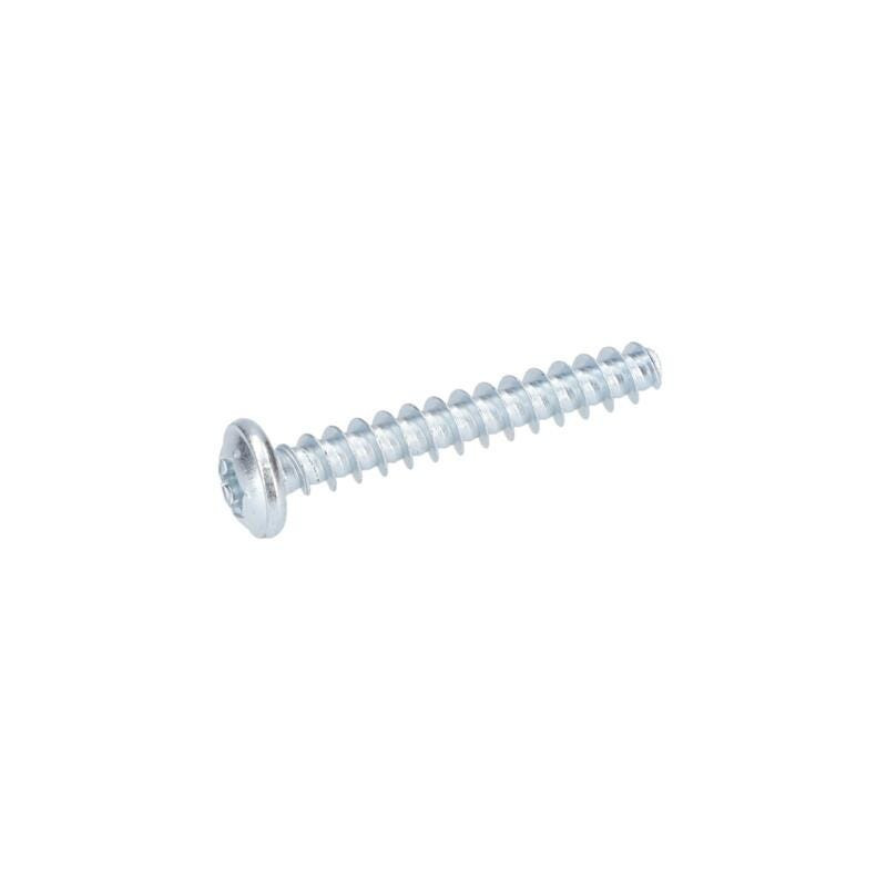 Vis à tête bombée torx pour Marteau à percussion BOSCH OUTILLAGES - 1613490009