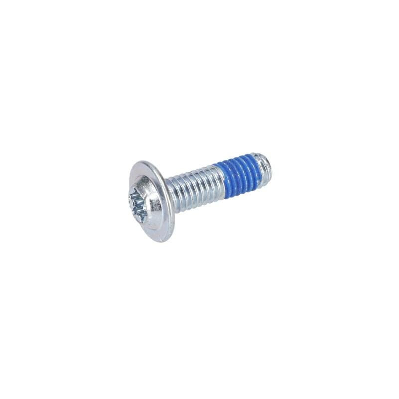 Vis à tête bombée torx pour Marteau à percussion BOSCH OUTILLAGES - 1613490010