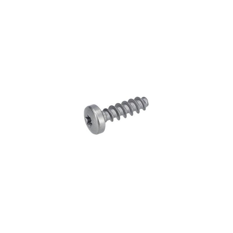 Vis à tête bombée torx pour Marteau à percussion BOSCH OUTILLAGES - 1613490025