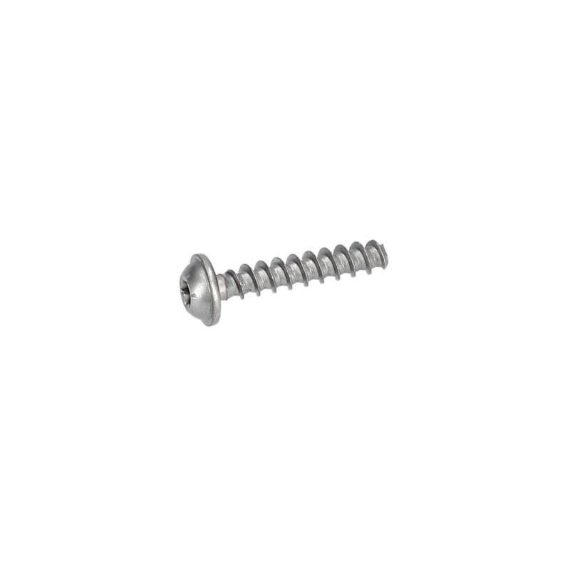 Vis à tête bombée torx pour Marteau à percussion BOSCH OUTILLAGES - 1613490026