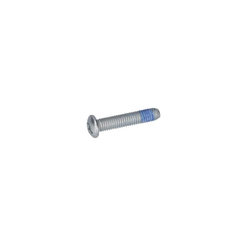 Vis à tête bombée torx pour Marteau à percussion BOSCH OUTILLAGES - 1613490029