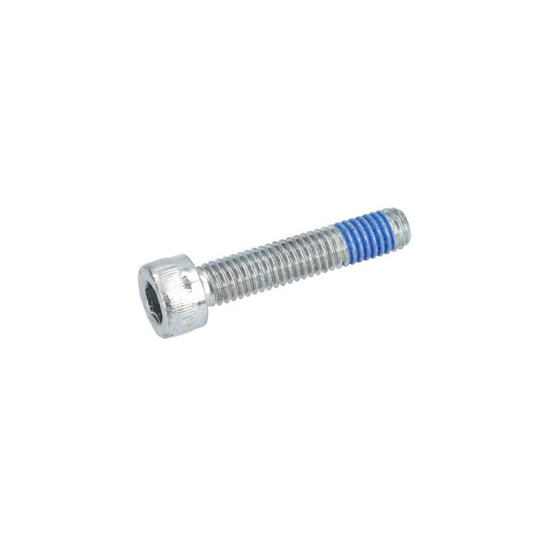 Vis micro-encapsulée pour Marteau à percussion BOSCH OUTILLAGES - 2914551188