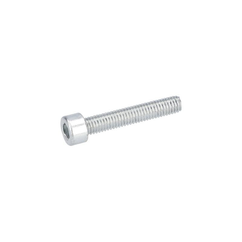 Vis autotaradeuse pour Meuleuse droite BOSCH OUTILLAGES - 2914451080