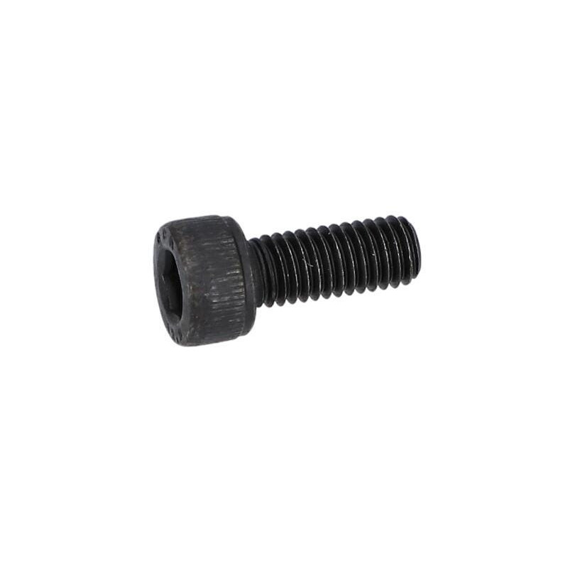 Vis cyl sixpans creux chc pour Scie égoïne BOSCH OUTILLAGES - 1619PA1331