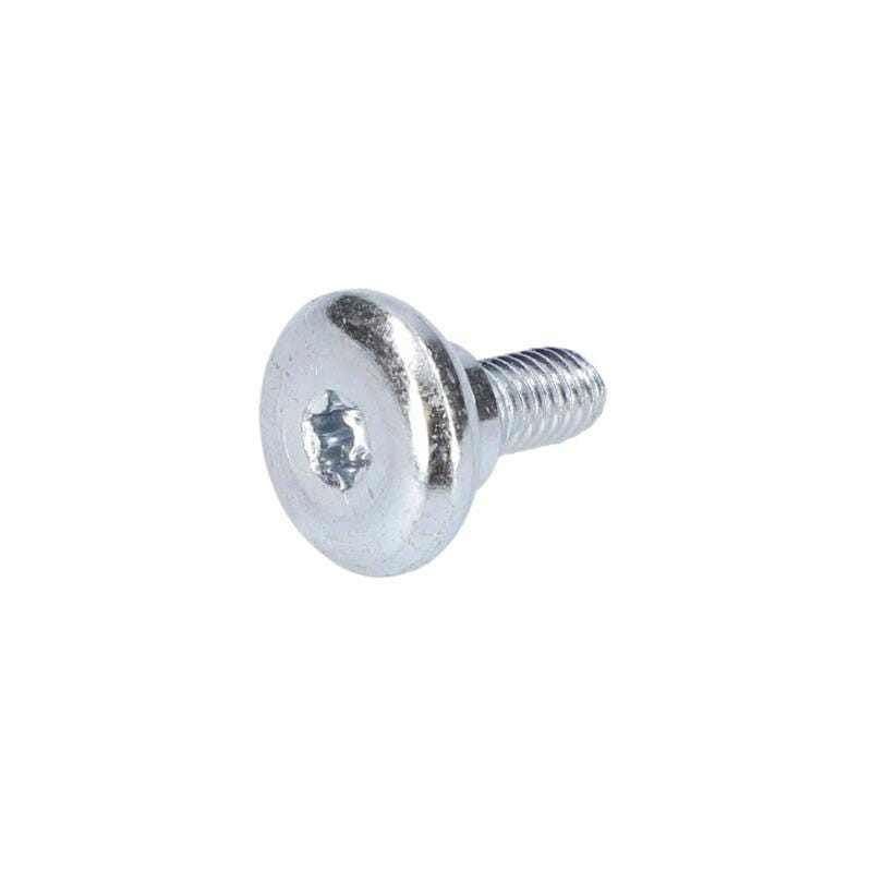 Vis autotaradeuse pour Taille-Haie BOSCH OUTILLAGES - 2603413040