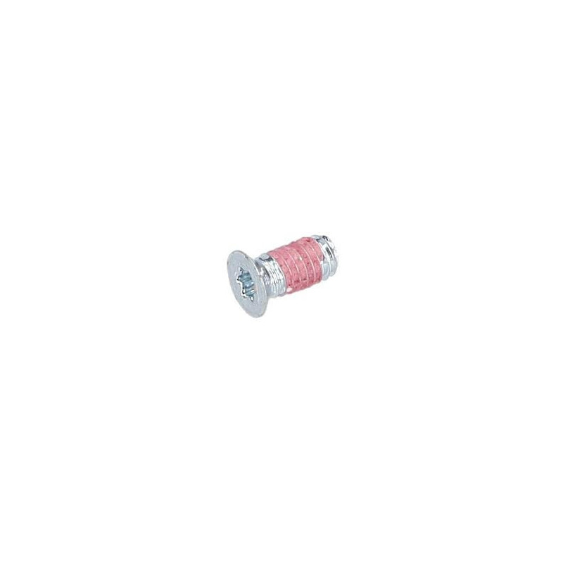 Vis à tête bombée torx pour Taille-Haie BOSCH OUTILLAGES - 2603421011