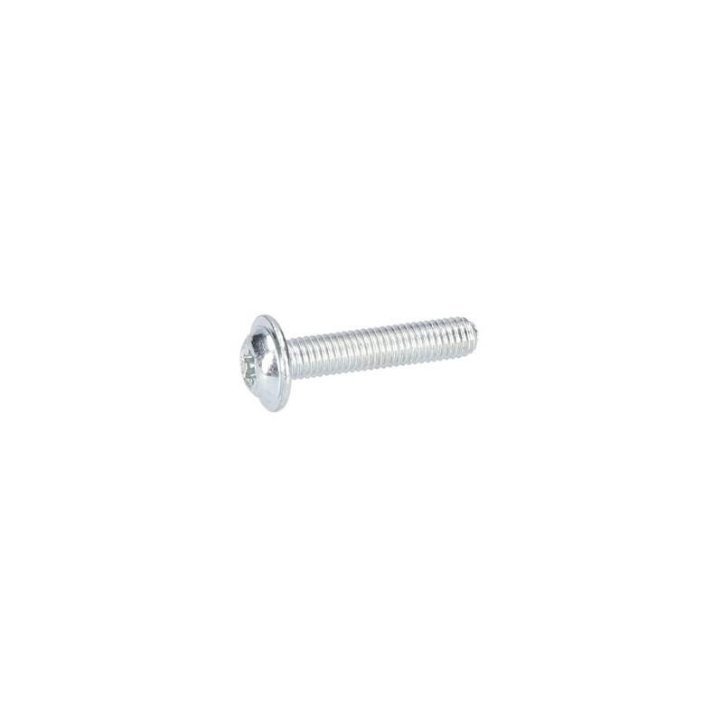 Vis à tête bombée torx pour Taille-Haie BOSCH OUTILLAGES - 2609005695
