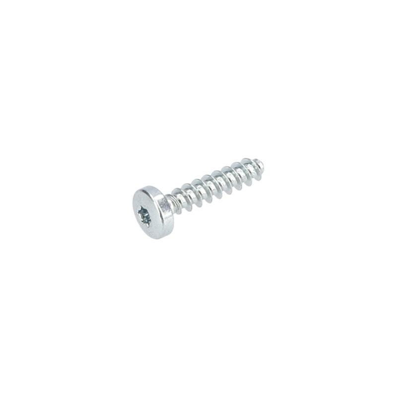 Vis à tête bombée torx pour Ponceuse vibrante BOSCH OUTILLAGES - 1613490027