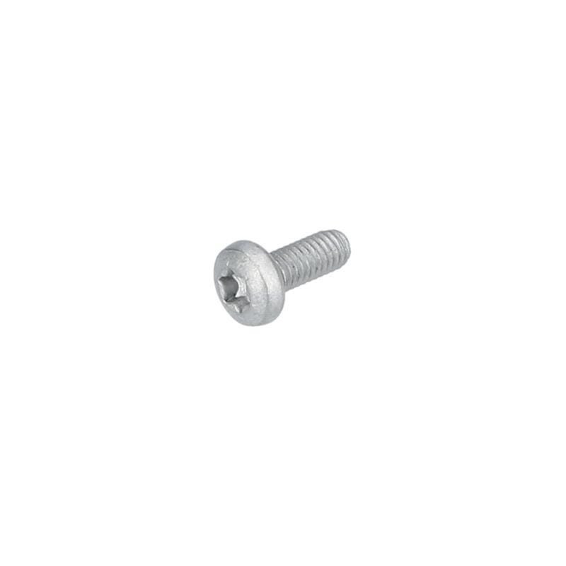 Vis à tête bombée torx pour Ponceuse orbitale BOSCH OUTILLAGES - 1619PB5555