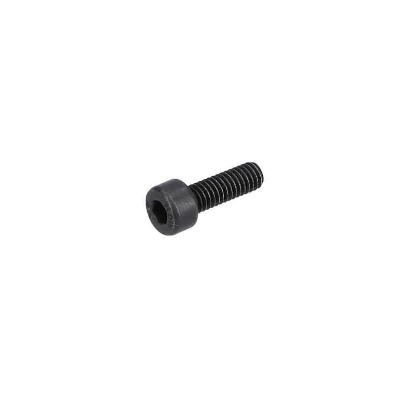 Vis à tête bombée torx pour Ponceuse orbitale BOSCH OUTILLAGES - 1619PC0235
