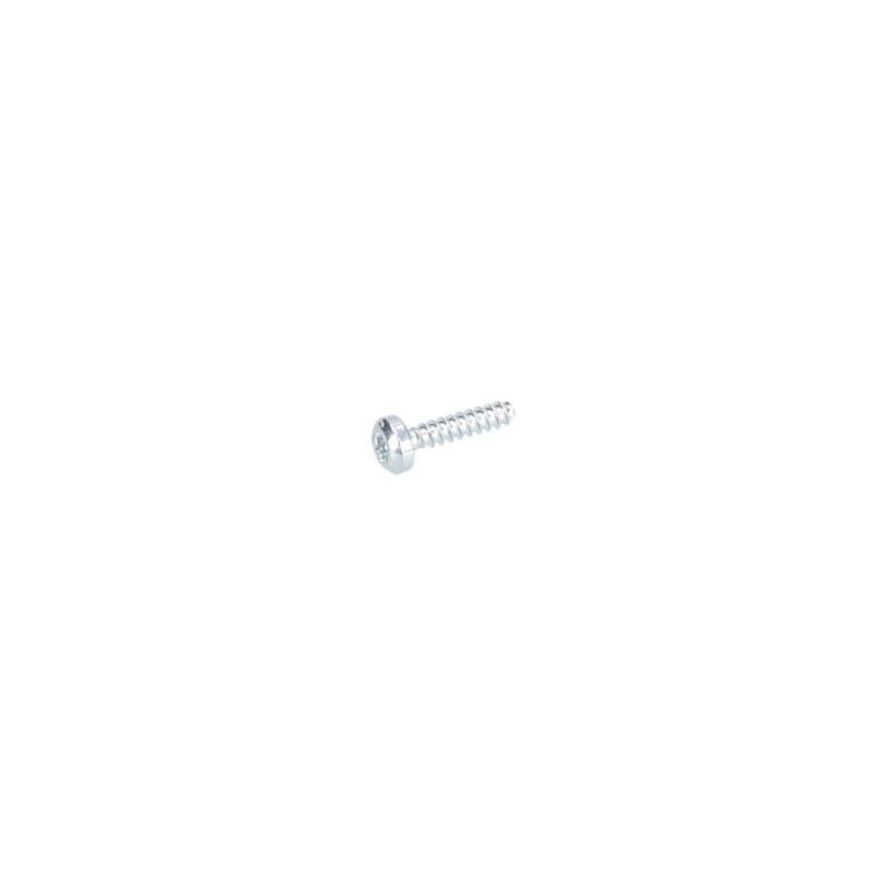 Vis à tête bombée torx pour Visseuse perceuse BOSCH OUTILLAGES - 2603415206