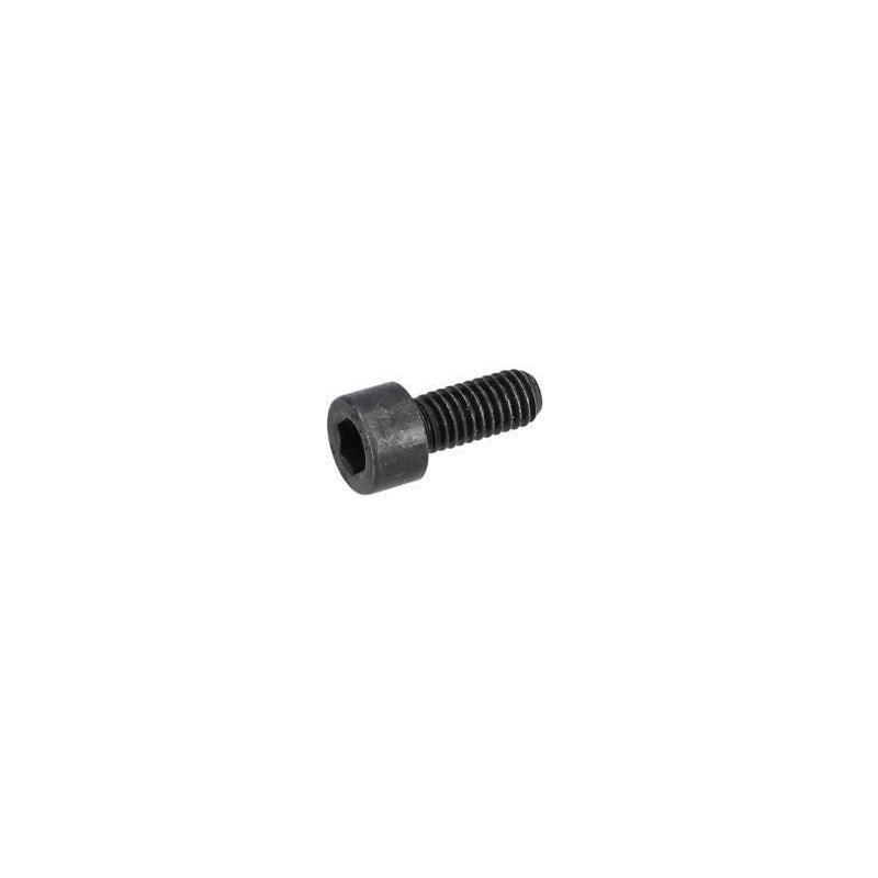 Vis à tête cylindrique pour Ponceuse plaquiste BOSCH OUTILLAGES - 1619PB6055