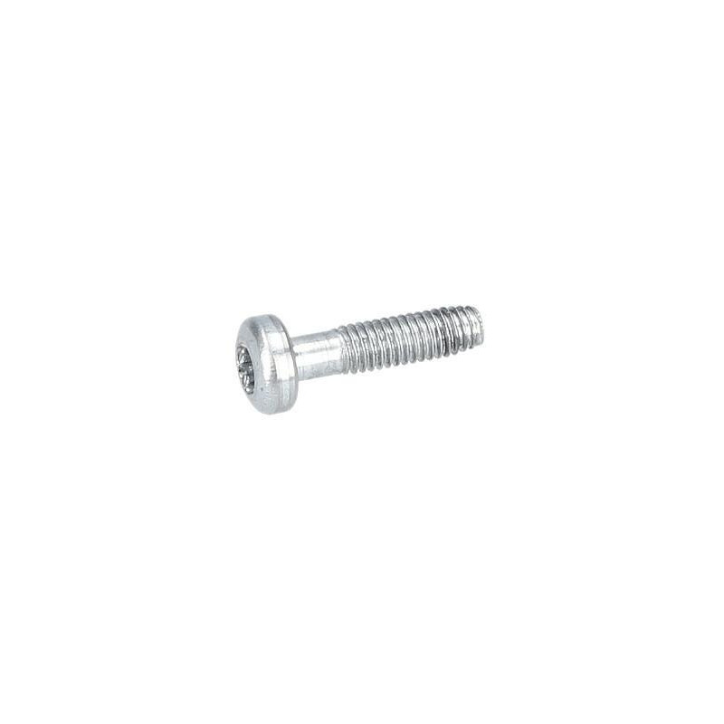 Vis à tête bombée torx pour Ponceuse à béton BOSCH OUTILLAGES - 3603435047