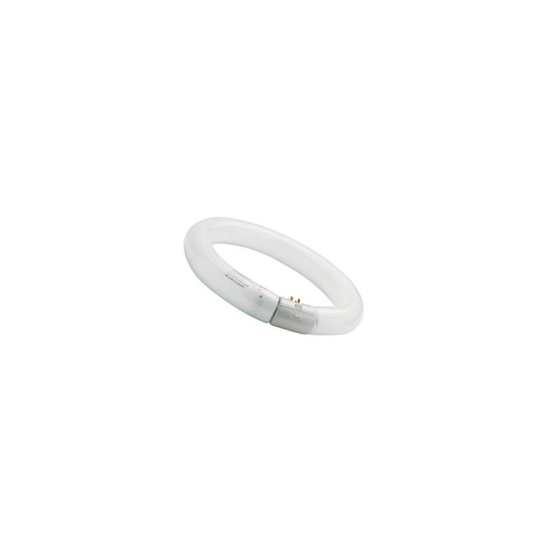 sylvania circulaire 32 w 12 blanc froid 840