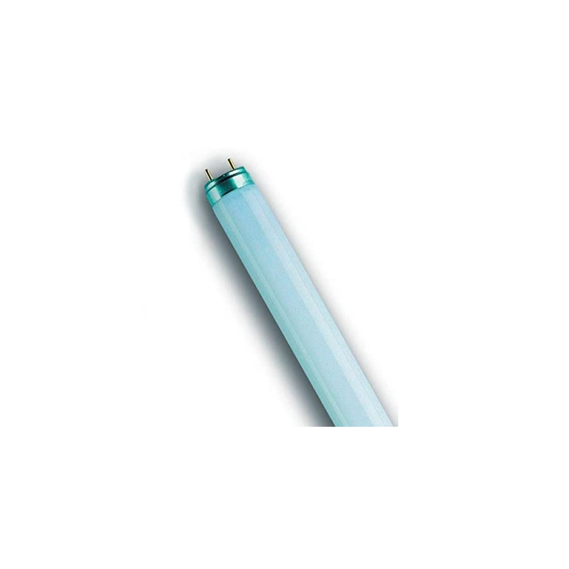 osram lot de 10 lampes fluorescente lumilux t8 culot g13 18 watt (840) cool white